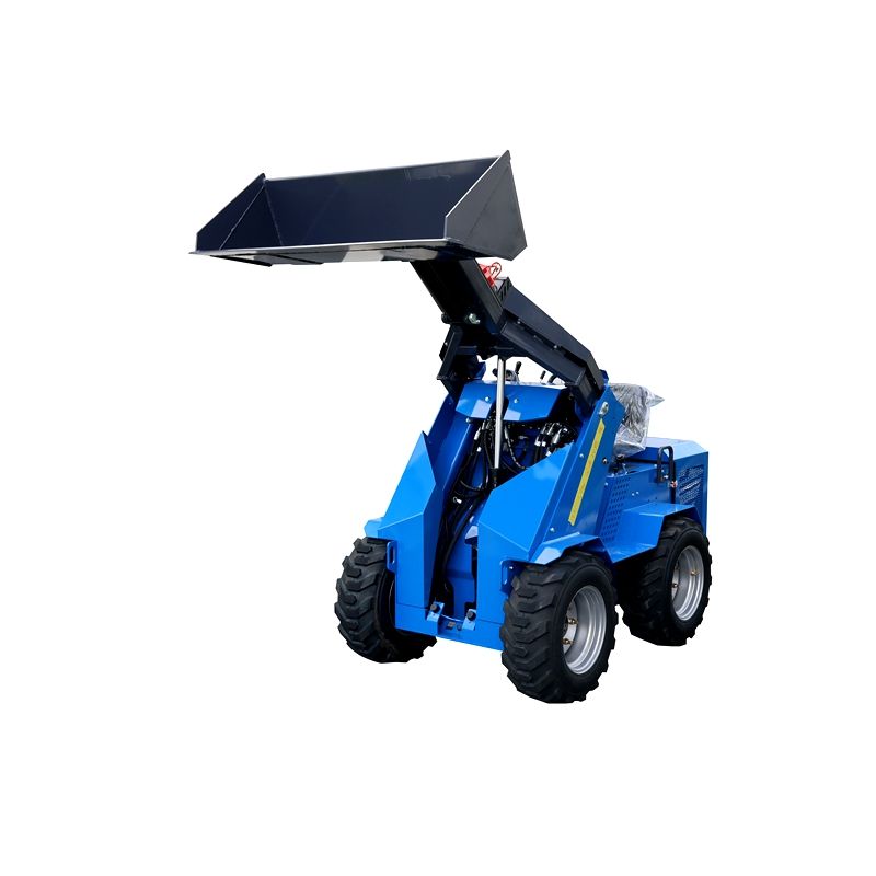 250KG Mini Highly Flexible Dual Power Sk