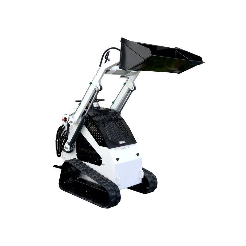 200 Kg Ultra-Efficient Versatile Compact