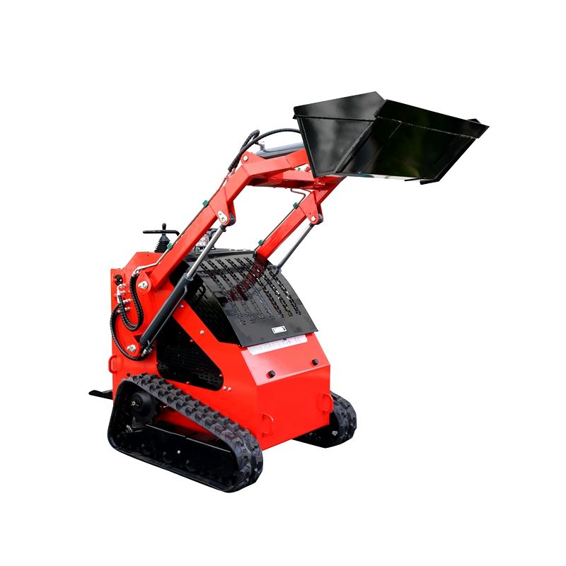 300Kg Twin Cylinder High Power Versatile